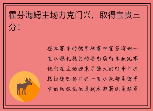 霍芬海姆主场力克门兴，取得宝贵三分！