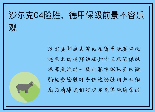 沙尔克04险胜，德甲保级前景不容乐观