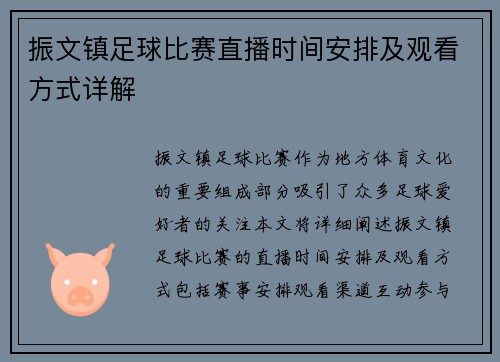 振文镇足球比赛直播时间安排及观看方式详解